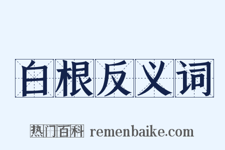 白根反义词是什么意思的图片